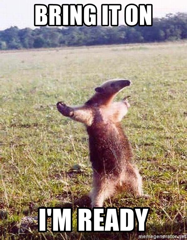 "Bring it on, I'm ready!" anteater meme