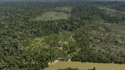 Judge in Brazil orders slaughterhouses to pay for Amazon reforestation