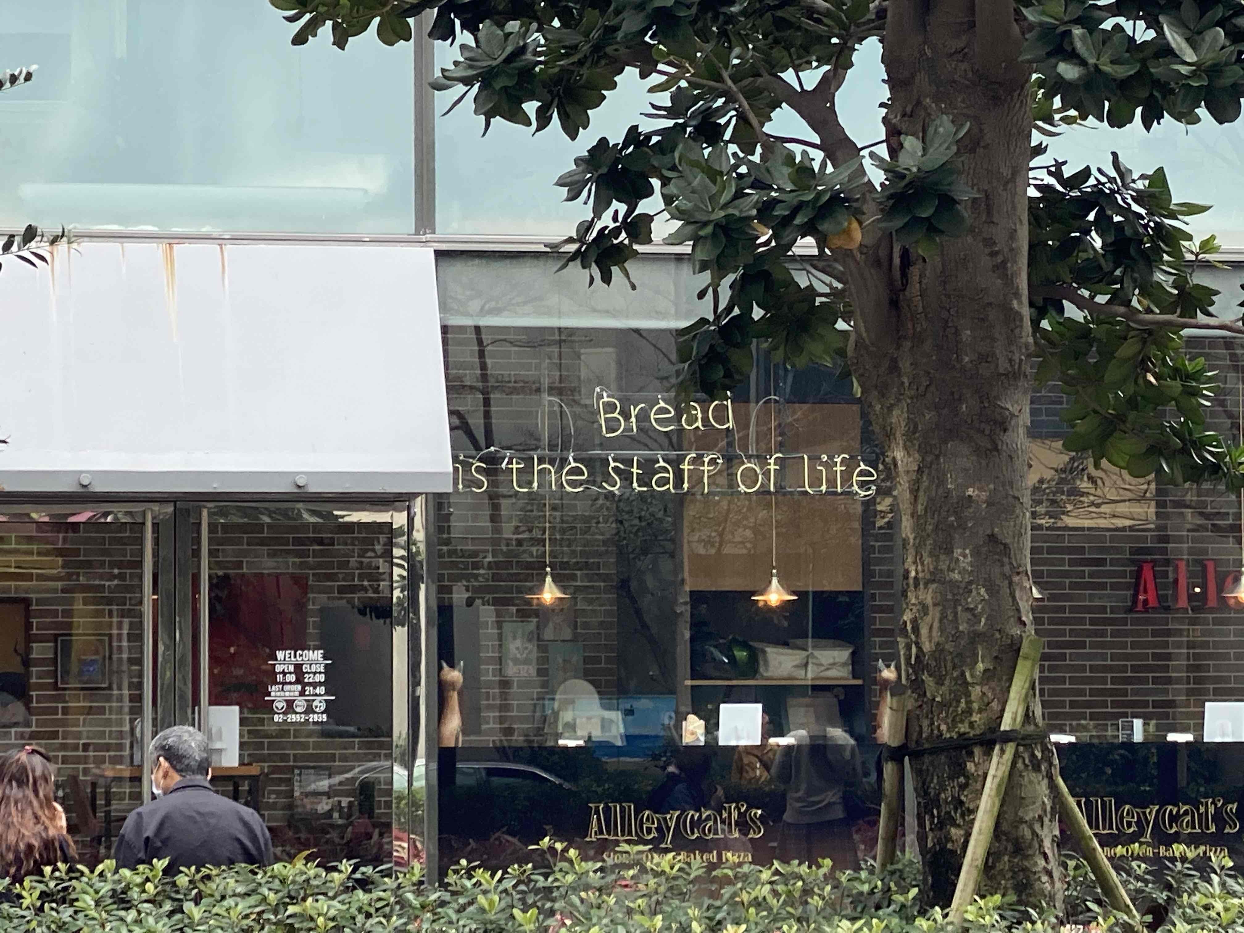 a picture of signage in the window of a cafe that says "bread (new line) is the staff of life". its clearly meant to say "staff" instead