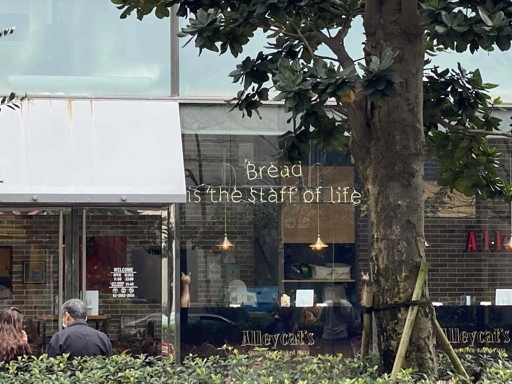 a picture of signage in the window of a cafe that says &quot;bread (new line) is the staff of life&quot;. its clearly meant to say &quot;staff&quot; instead