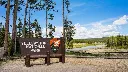 Woman gored by Bison at Yellowstone