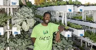 Growing food instead of lawns in California front yards