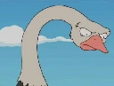 evil_ostrich