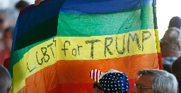 What the rise of queer Republicans tells us about America