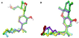 Study explores compound's potential to enhance THC for pain treatment