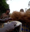 Cultural and linguistic networks of central African hunter–gatherers have ancient origin, study finds
