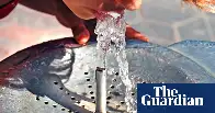 At least 60% of US population may face ‘forever chemicals’ in tap water, tests suggest