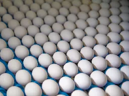 Egg producers, trade groups liable for conspiracy, jury finds