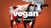 Is Veganism Really the Answer? | Our Changing Climate
