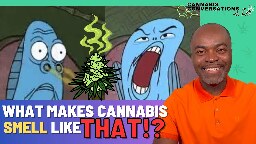New Cannabis Research Changes Everything!