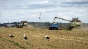 Russia halted a breakthrough wartime deal on Monday that allows grain to flow from Ukraine to countries in Africa and Asia where hunger is a growing threat