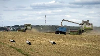 Russia halted a breakthrough wartime deal on Monday that allows grain to flow from Ukraine to countries in Africa and Asia where hunger is a growing threat
