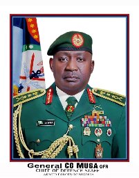 Northern Group Rejects Call For Suspension Of Security Chiefs - News Agency Of Nigeria