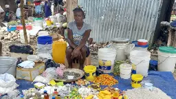 ‘I Earn a Profit. I Can Feed My Family’: How Microcredit Lending in Haiti Is Changing Women’s Lives - Ms. Magazine