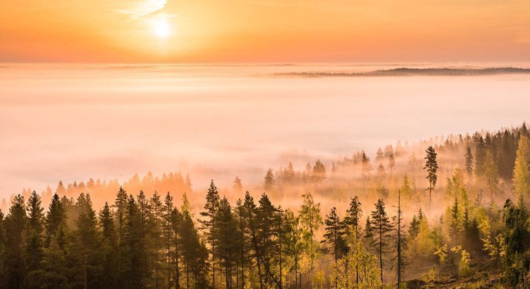 « L’effondrement climatique a commencé », alerte le chef de l’ONU