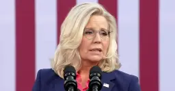 Rep. Liz Cheney rips Trump: ‘I was a Republican before Donald Trump started spray tanning'