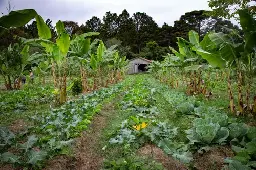 Depois de sucessivos adiamentos, Plano Nacional de Agroecologia será lançado na quarta-feira (16), em Brasília