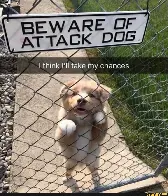 Beware