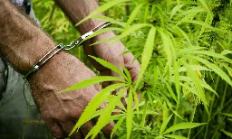 UN Human Rights Experts Say Counties Should Legalize Drugs To 'Eliminate Profits From Illegal Trafficking' - Marijuana Moment