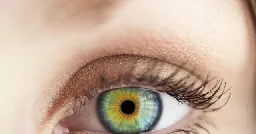 CEO of Company that Wants to Scan Your Irises: 'World ID' Is Coming 'Whether You Like It or Not'
