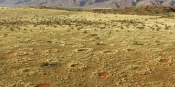 Namibian fairy circle debate rages on: Sand termites or Turing mechanism? [Updated]