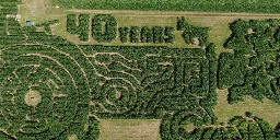 Maine corn maze voted best in the country