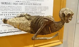 Fiji mermaid - Wikipedia