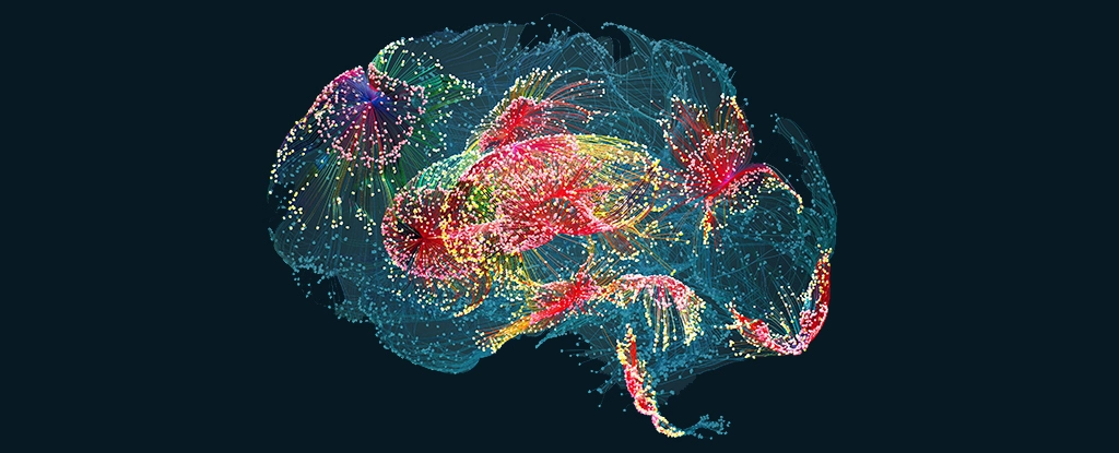 New 'Mind-Reading' AI Translates Thoughts Directly From Brainwaves – Without Implants