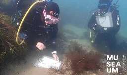 Exploring South Australia's oldest shipwreck