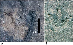 Matching dinosaur footprints found on opposite sides of the Atlantic Ocean