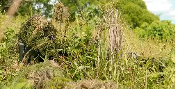 A Sniper searches for his target during the Sniper Stalking exercise at the 2010 Fuerzas Comando competition. [1000x501]