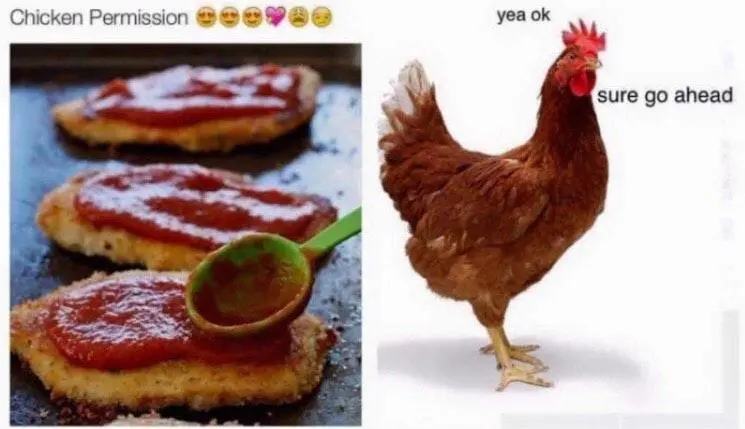 Chicken Permission