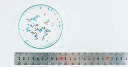 A New Study Found Microplastics In Every Testicle It Sampled — How Bad Is That?