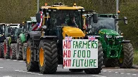 'Slaughtered': UK farmers protest post-Brexit rules and trade deals