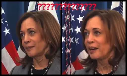 Video: Kamala Harris Asked About Trump's Promise to Repeal DEI—Her Answer Shows Why the DNC Won't Let Her Speak – Right Journalism