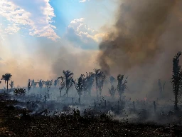 Deforestation in Brazil’s Amazon falls to lowest level since 2017