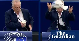 ‘Can you catch it as well?’: bird stunt causes flap in European parliament