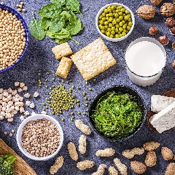 Study: Vegan Protein Sources Associated with Better Health Outcomes Than Animal-Based Protein - The Vegan Herald