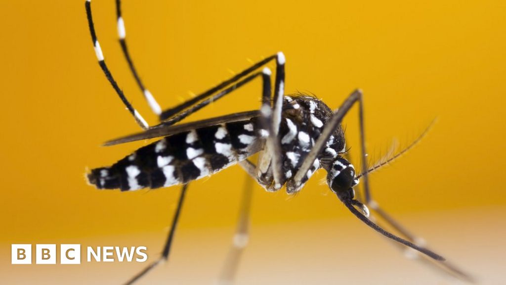 Mosquito-borne disease risk looms for UK - study