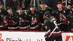 Nick Schmaltz scores go-ahead goal as Arizona Coyotes beat Montreal Canadiens | TSN