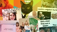 [Ny Teknik] Historien om memes – från LOLcats till virala videos