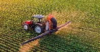 Global decline in male fertility linked to common pesticides