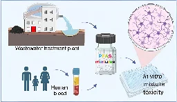 It all adds up: Study finds forever chemicals are more toxic as mixtures