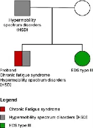 Frontiers | Longitudinal cytokine and multi-modal health data of an extremely severe ME/CFS patient with HSD reveals insights into immunopathology, and disease severity