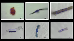 A possible explanation for the 'missing plastic problem': New detection technique finds microplastics in coral skeletons