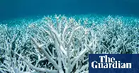 Global heating pushes coral reefs towards worst planet-wide mass bleaching on record