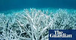 Global heating pushes coral reefs towards worst planet-wide mass bleaching on record