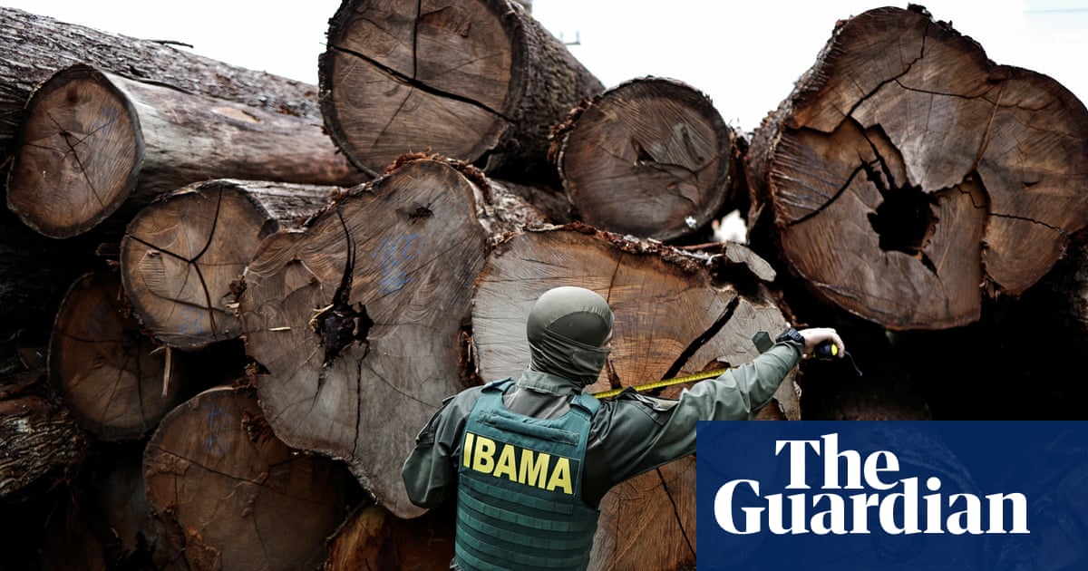 Progress on slowing deforestation could boost climate efforts, say experts