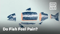 What Fish Feel When They Are Killed