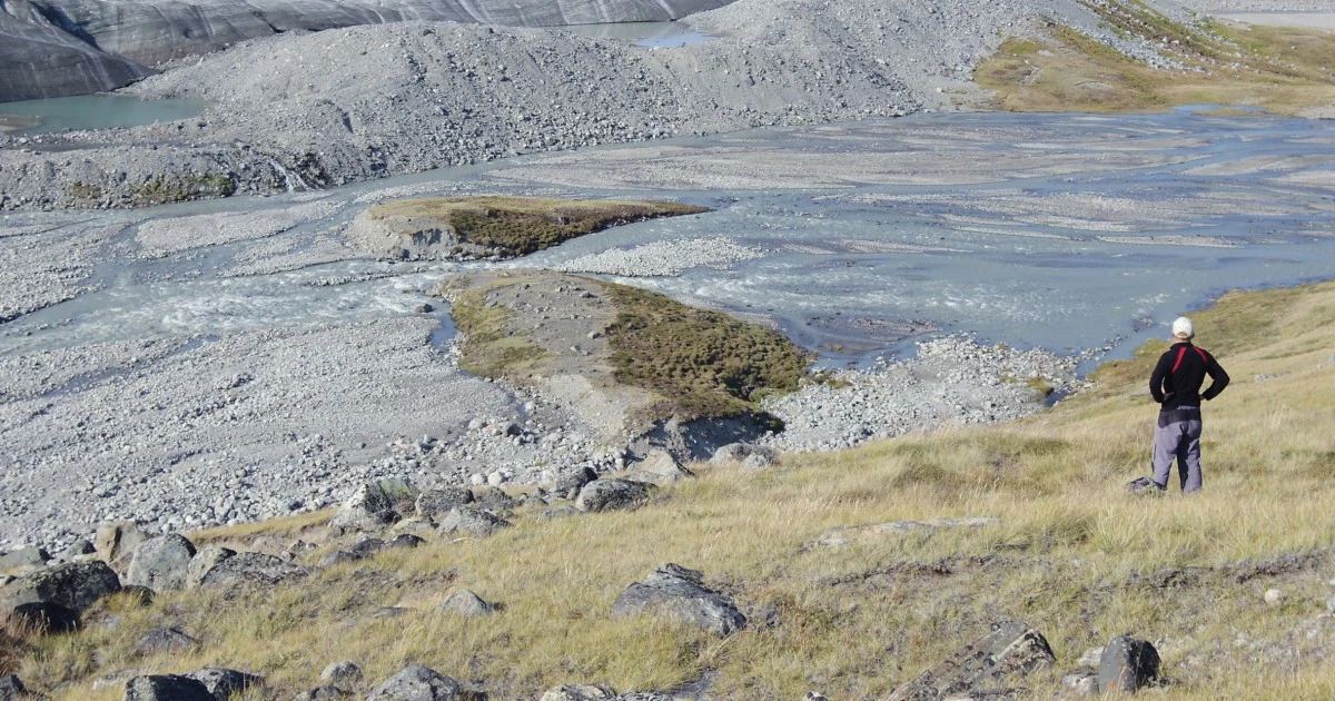 Global warming is making Greenland greener